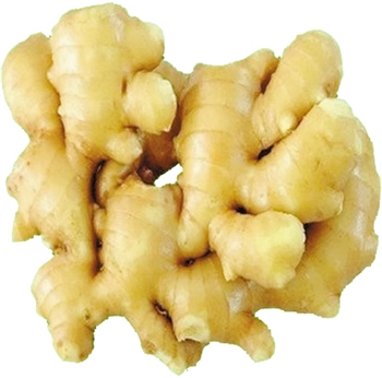 生姜 约200-250g/份