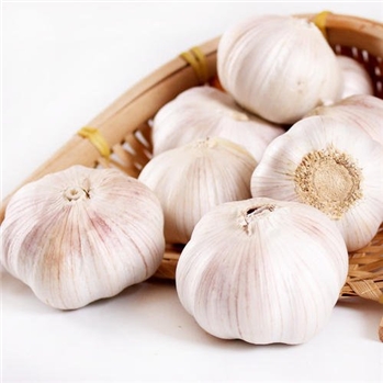 大蒜 约300g/份
