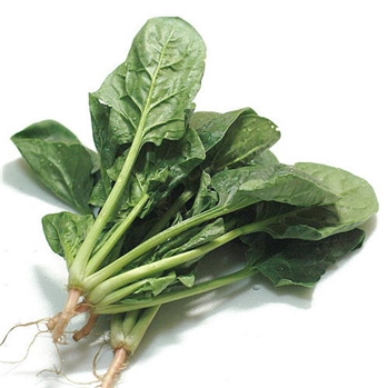 菠菜 约350g/份