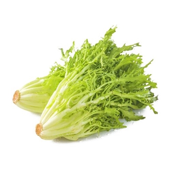 苦菊 约350g/份