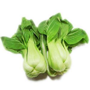 油菜 约350g/份