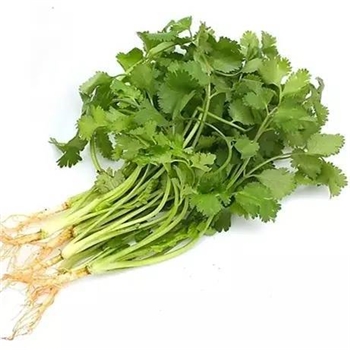 香菜 约100g/份