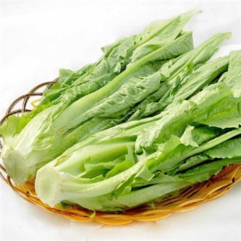 油麦菜 约350g/份