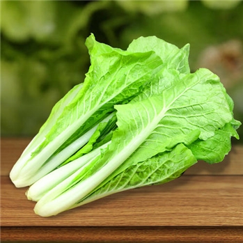 小白菜 约350g/份