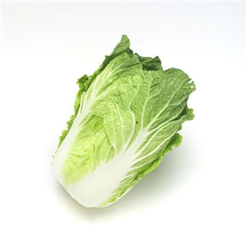 大白菜 约2000-2500g/颗