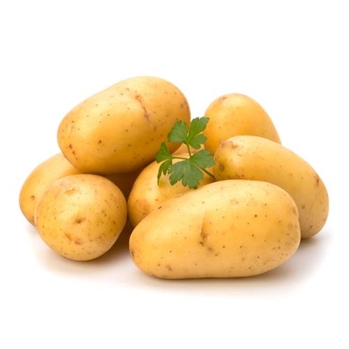 土豆 约1000g/份