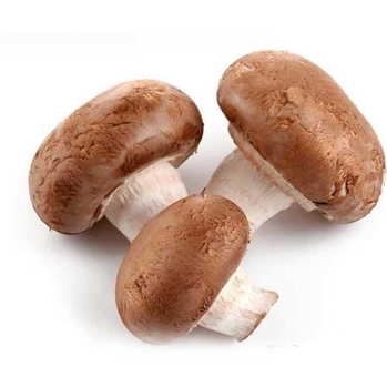 香菇 约350g/份