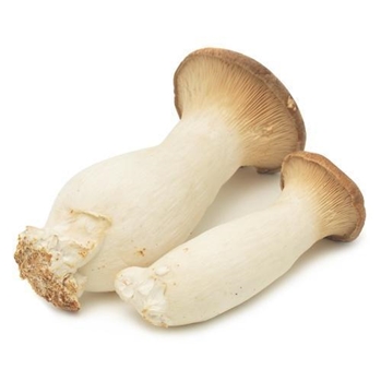 杏鲍菇 约500g/袋