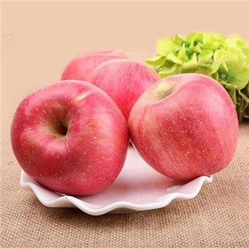 富士苹果 约600-650g/份