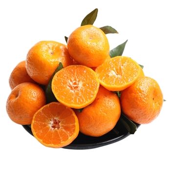 精品砂糖橘 约500g/份