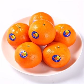 澳橘 约550-600g/份