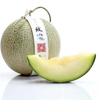 网纹瓜 约1500-1800g/个