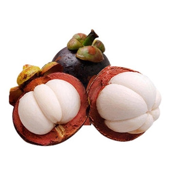 山竹 约500g/份