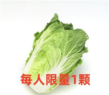 (新入驻菜)大白菜约4斤左右